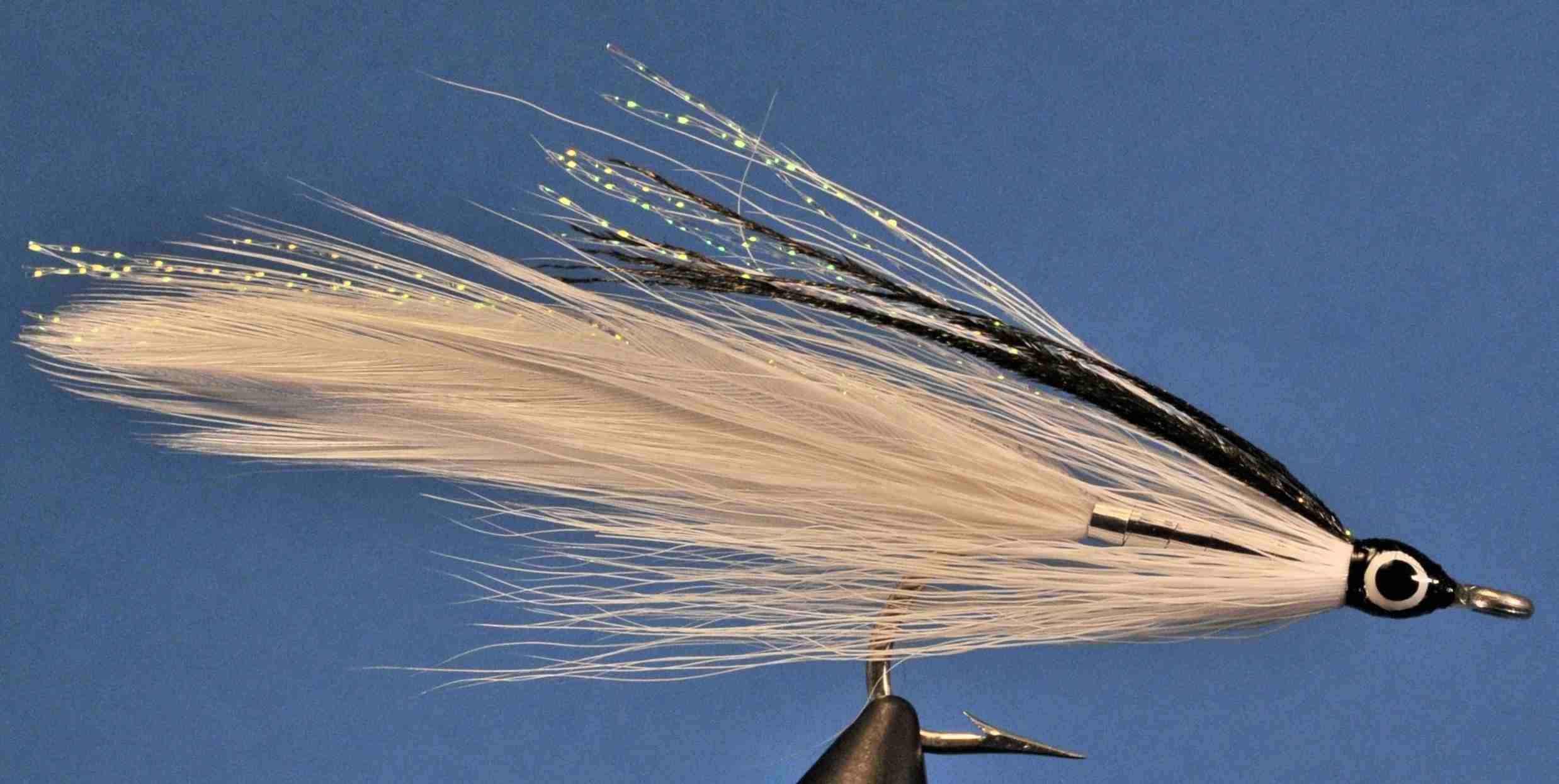 J21-512610 product image