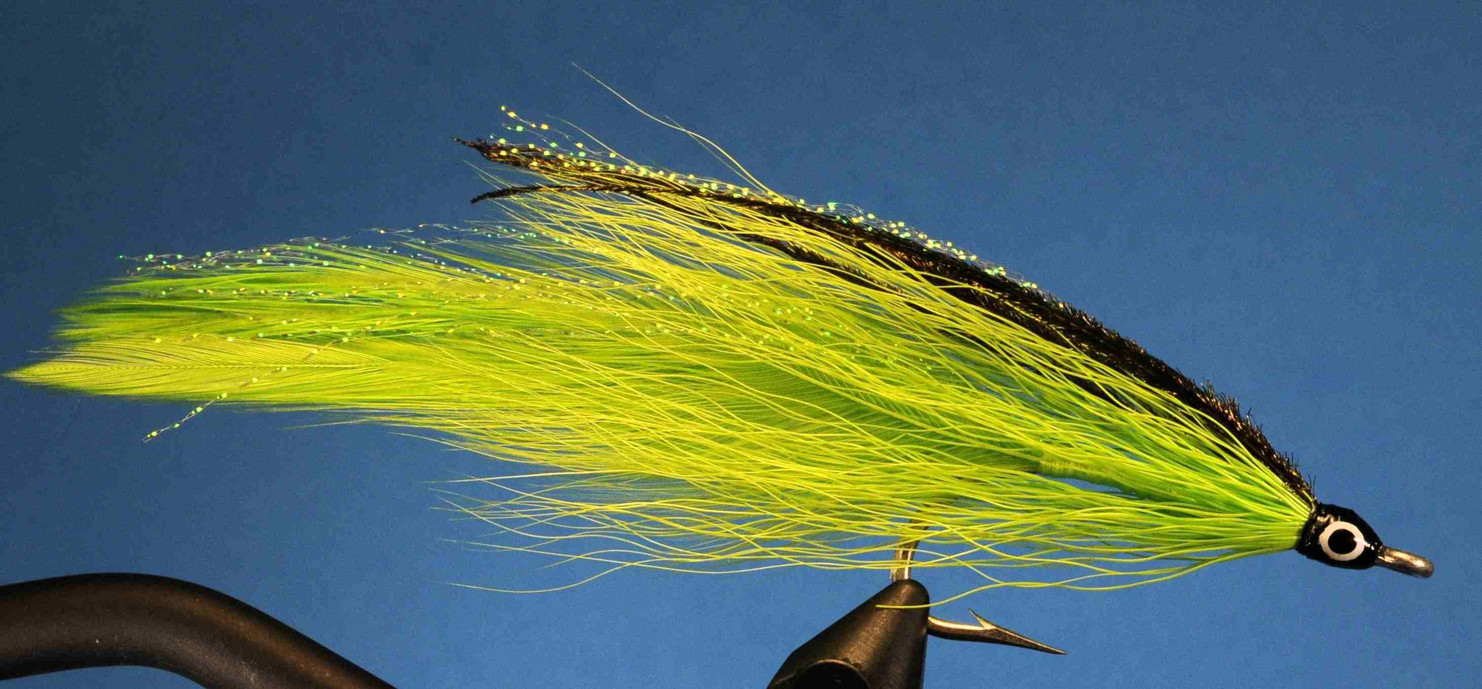 J21-512655 product image