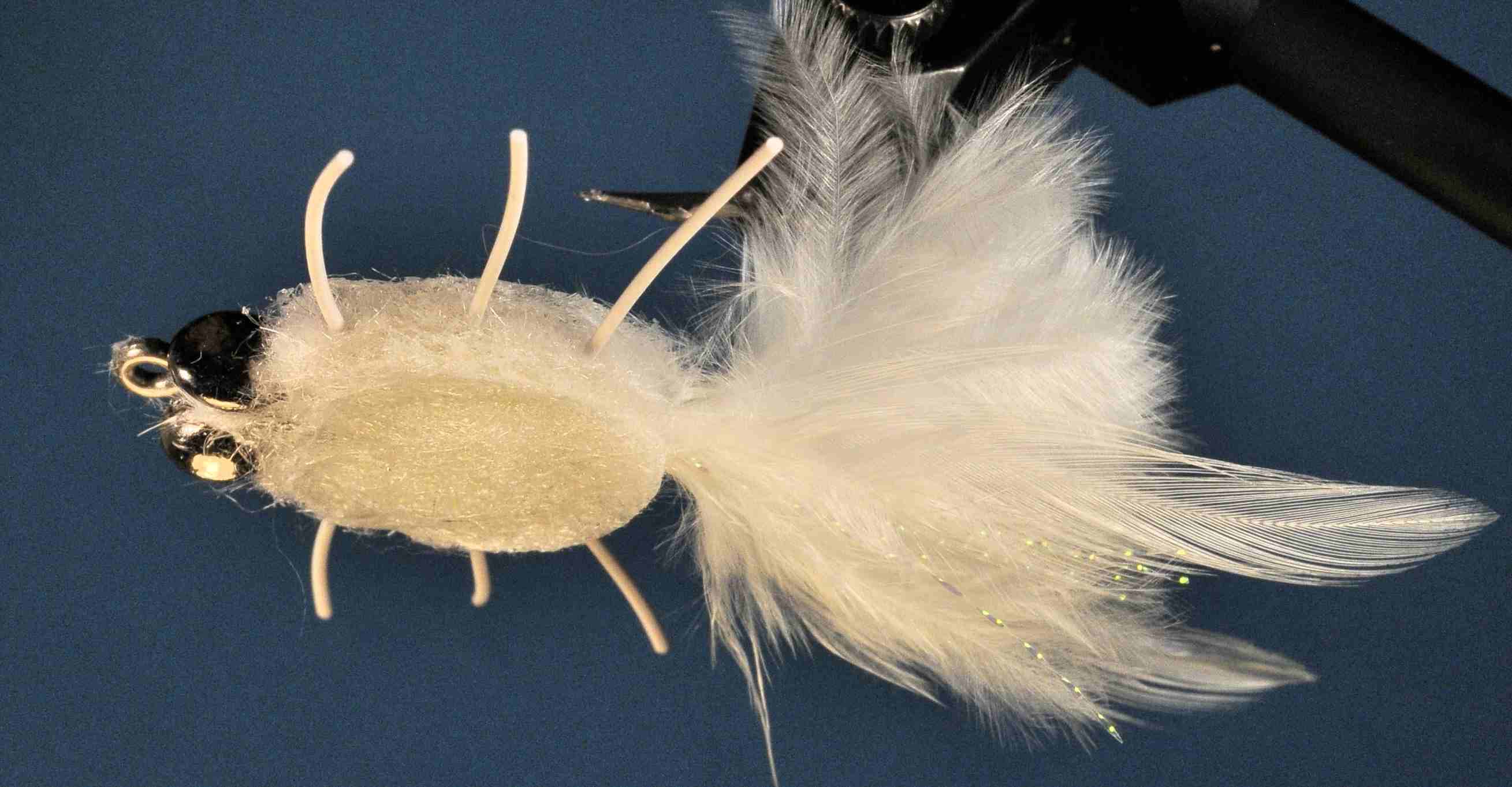 J21-558010 product image