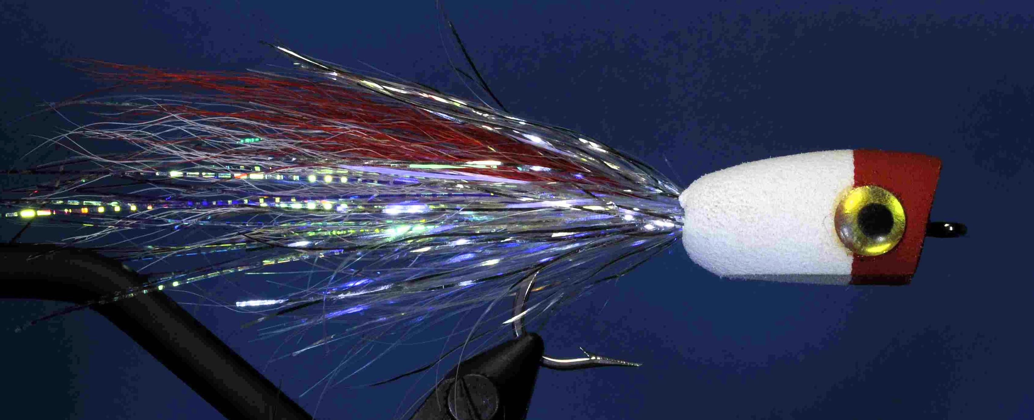 J21-558895 product image