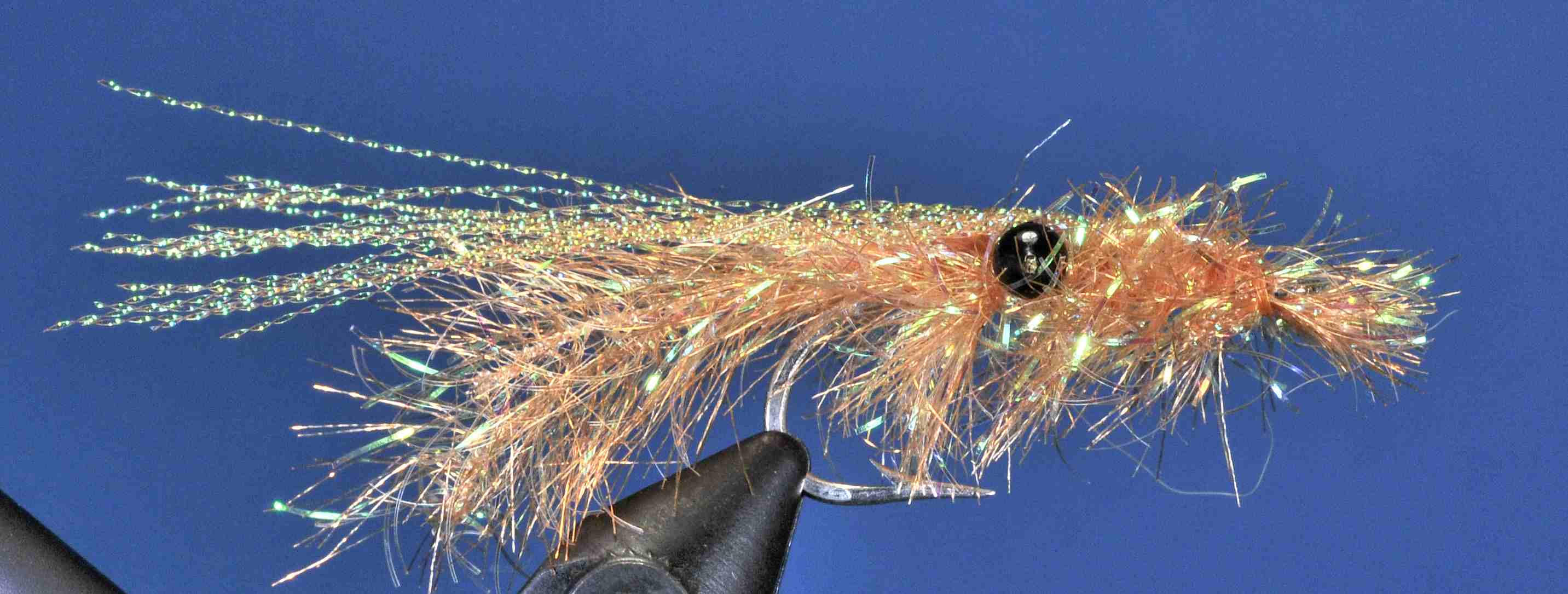 J21-558905 product image