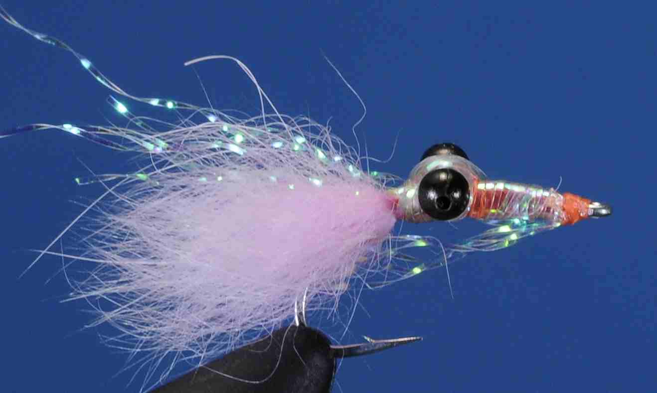 J21-565026 product image