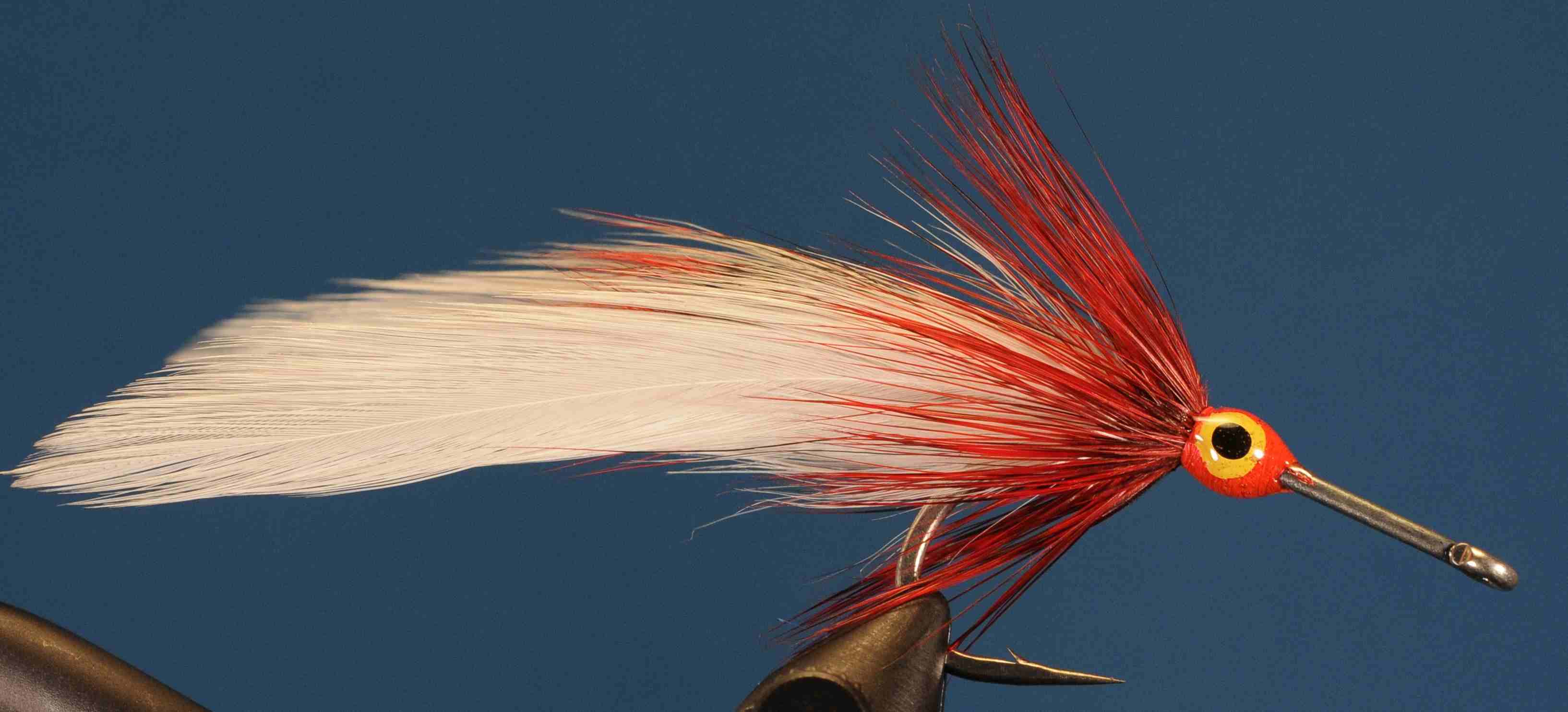 J21-568038 product image