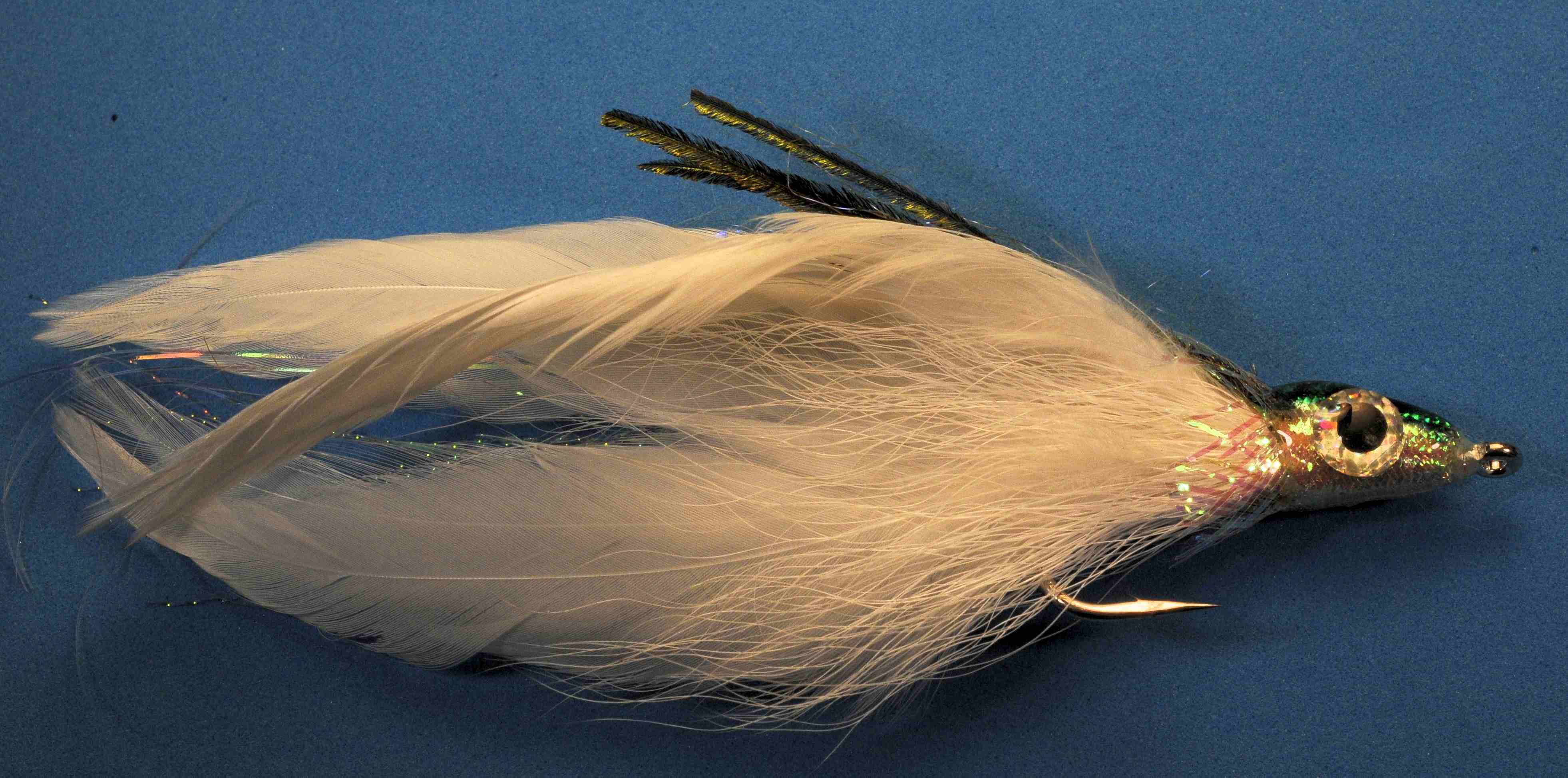 J21-570740 product image